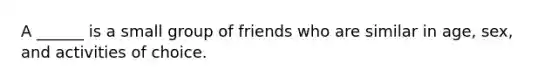 A ______ is a small group of friends who are similar in age, sex, and activities of choice.