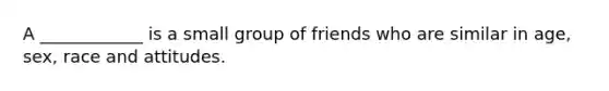 A ____________ is a small group of friends who are similar in age, sex, race and attitudes.