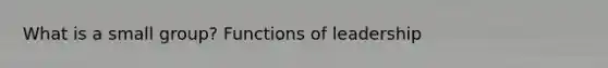 What is a small group? Functions of leadership