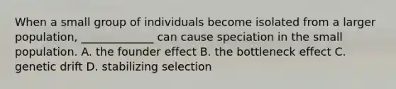 When a small group of individuals become isolated from a larger population, _____________ can cause speciation in the small population. A. the founder effect B. the bottleneck effect C. genetic drift D. stabilizing selection