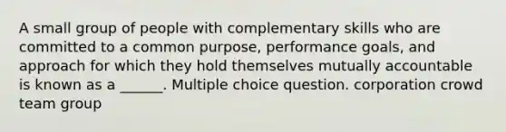 A small group of people with complementary skills who are committed to a common purpose, performance goals, and approach for which they hold themselves mutually accountable is known as a ______. Multiple choice question. corporation crowd team group