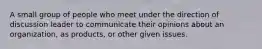 A small group of people who meet under the direction of discussion leader to communicate their opinions about an organization, as products, or other given issues.