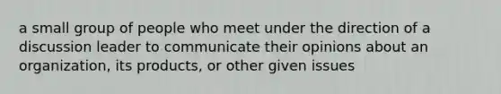 a small group of people who meet under the direction of a discussion leader to communicate their opinions about an organization, its products, or other given issues