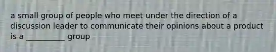 a small group of people who meet under the direction of a discussion leader to communicate their opinions about a product is a __________ group