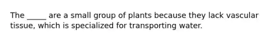 The _____ are a small group of plants because they lack vascular tissue, which is specialized for transporting water.