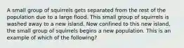 A small group of squirrels gets separated from the rest of the population due to a large flood. This small group of squirrels is washed away to a new island. Now confined to this new island, the small group of squirrels begins a new population. This is an example of which of the following?