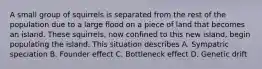 A small group of squirrels is separated from the rest of the population due to a large flood on a piece of land that becomes an island. These squirrels, now confined to this new island, begin populating the island. This situation describes A. Sympatric speciation B. Founder effect C. Bottleneck effect D. Genetic drift