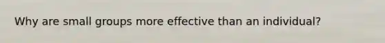 Why are small groups more effective than an individual?