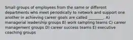 Small groups of employees from the same or different departments who meet periodically to network and support one another in achieving career goals are called ________. A) managerial leadership groups B) work sampling teams C) career management groups D) career success teams E) executive coaching groups