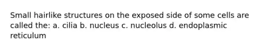 Small hairlike structures on the exposed side of some cells are called the: a. cilia b. nucleus c. nucleolus d. endoplasmic reticulum