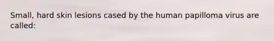Small, hard skin lesions cased by the human papilloma virus are called: