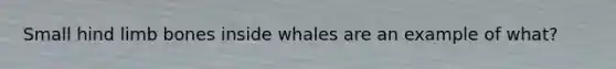 Small hind limb bones inside whales are an example of what?