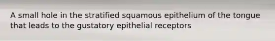 A small hole in the stratified squamous epithelium of the tongue that leads to the gustatory epithelial receptors