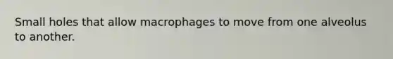 Small holes that allow macrophages to move from one alveolus to another.