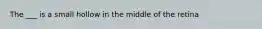 The ___ is a small hollow in the middle of the retina
