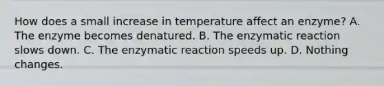 How does a small increase in temperature affect an enzyme? A. The enzyme becomes denatured. B. The enzymatic reaction slows down. C. The enzymatic reaction speeds up. D. Nothing changes.