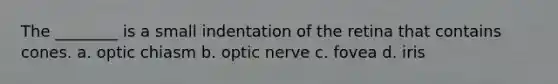 The ________ is a small indentation of the retina that contains cones. a. optic chiasm b. optic nerve c. fovea d. iris