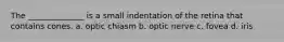 The ______________ is a small indentation of the retina that contains cones. a. optic chiasm b. optic nerve c. fovea d. iris
