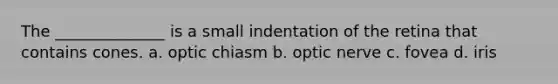 The ______________ is a small indentation of the retina that contains cones. a. optic chiasm b. optic nerve c. fovea d. iris