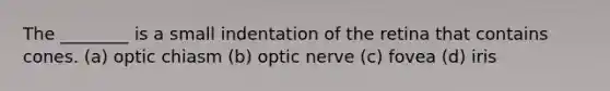 The ________ is a small indentation of the retina that contains cones. (a) optic chiasm (b) optic nerve (c) fovea (d) iris