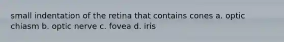 small indentation of the retina that contains cones a. optic chiasm b. optic nerve c. fovea d. iris