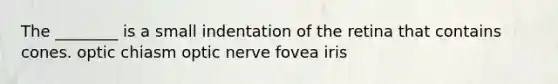 The ________ is a small indentation of the retina that contains cones. optic chiasm optic nerve fovea iris