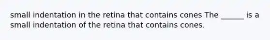small indentation in the retina that contains cones The ______ is a small indentation of the retina that contains cones.