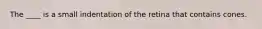 The ____ is a small indentation of the retina that contains cones.