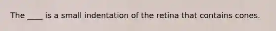 The ____ is a small indentation of the retina that contains cones.