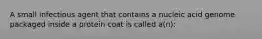 A small infectious agent that contains a nucleic acid genome packaged inside a protein coat is called a(n):