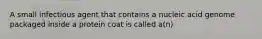 A small infectious agent that contains a nucleic acid genome packaged inside a protein coat is called a(n)