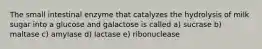 The small intestinal enzyme that catalyzes the hydrolysis of milk sugar into a glucose and galactose is called a) sucrase b) maltase c) amylase d) lactase e) ribonuclease