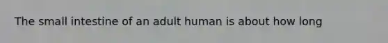 The small intestine of an adult human is about how long