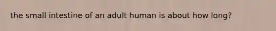 the small intestine of an adult human is about how long?