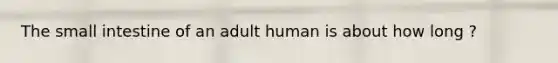 The small intestine of an adult human is about how long ?