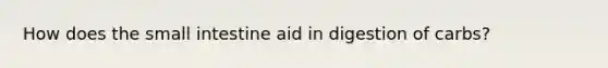How does the small intestine aid in digestion of carbs?