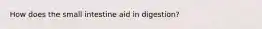 How does the small intestine aid in digestion?