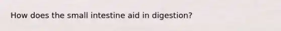 How does the small intestine aid in digestion?