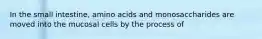 In the small intestine, amino acids and monosaccharides are moved into the mucosal cells by the process of