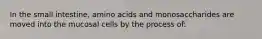 In the small intestine, amino acids and monosaccharides are moved into the mucosal cells by the process of: