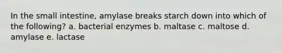 In the small intestine, amylase breaks starch down into which of the following? a. bacterial enzymes b. maltase c. maltose d. amylase e. lactase