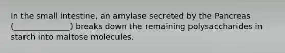 In the small intestine, an amylase secreted by the Pancreas (______________) breaks down the remaining polysaccharides in starch into maltose molecules.