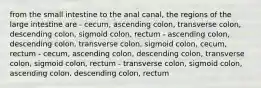 from the small intestine to the anal canal, the regions of the large intestine are - cecum, ascending colon, transverse colon, descending colon, sigmoid colon, rectum - ascending colon, descending colon, transverse colon, sigmoid colon, cecum, rectum - cecum, ascending colon, descending colon, transverse colon, sigmoid colon, rectum - transverse colon, sigmoid colon, ascending colon, descending colon, rectum