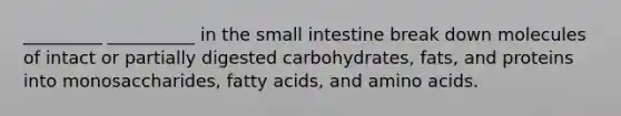 _________ __________ in the small intestine break down molecules of intact or partially digested carbohydrates, fats, and proteins into monosaccharides, fatty acids, and amino acids.