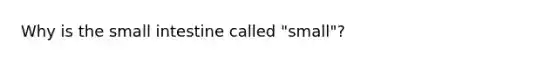 Why is the small intestine called "small"?