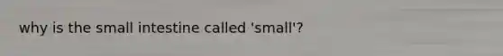 why is the small intestine called 'small'?