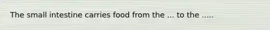 The small intestine carries food from the ... to the .....