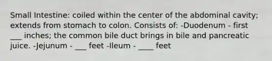 Small Intestine: coiled within the center of the abdominal cavity; extends from stomach to colon. Consists of: -Duodenum - first ___ inches; the common bile duct brings in bile and pancreatic juice. -Jejunum - ___ feet -Ileum - ____ feet