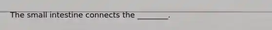 The small intestine connects the ________.