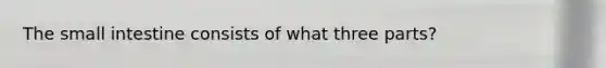 The small intestine consists of what three parts?